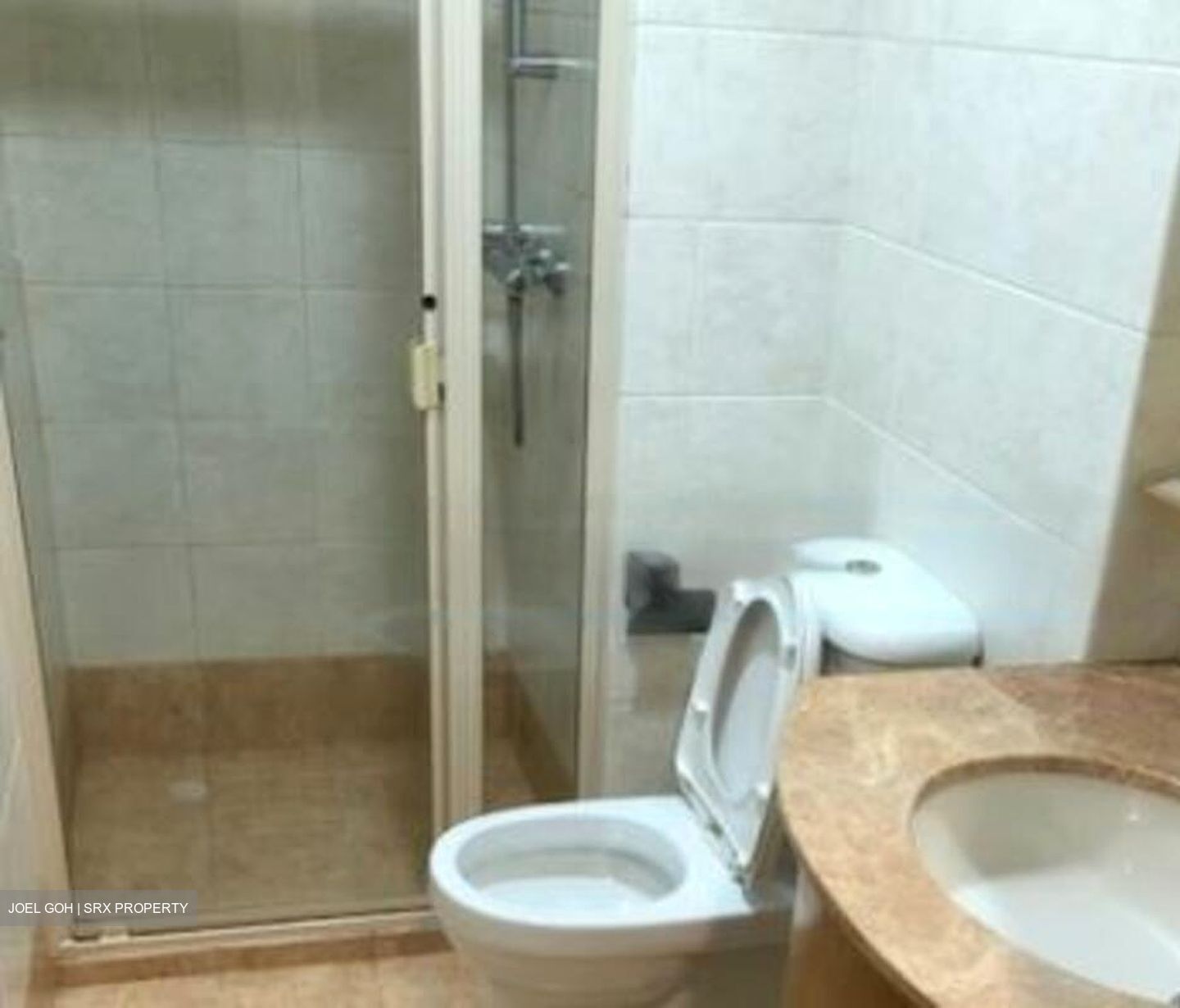 Rafflesia Condominium (D20), Condominium #615550941